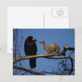 Überraschung Postkarte (Vorne/Hinten)