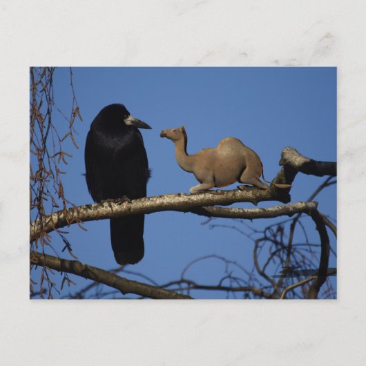Überraschung Postkarte (Vorderseite)