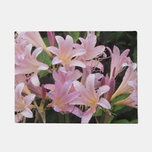 Überraschungen nach dem Regen Fußmatte (Vorderseite)