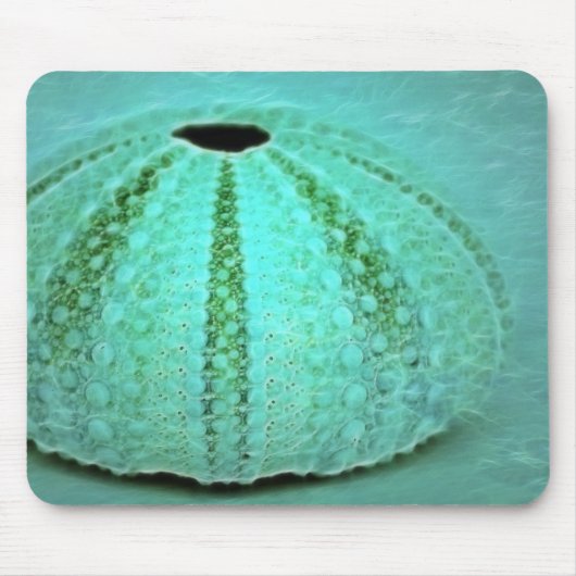 Überreste Mousepad (Vorne)