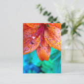 Überreste Postkarte (Stehend Vorderseite)