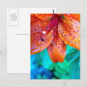 Überreste Postkarte (Vorne/Hinten)