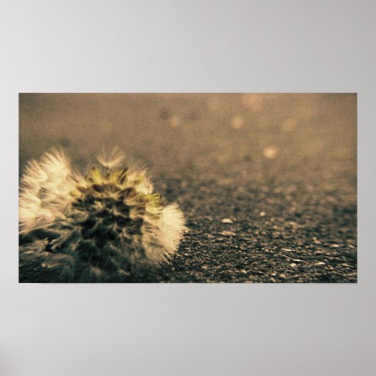 überschattet poster (Vorne)