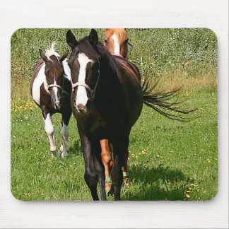 Überschrifts-Zuhause-Mausunterlage Mousepad