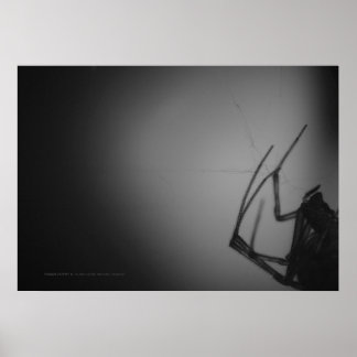 ÜBERSETZUNG 8 POSTER