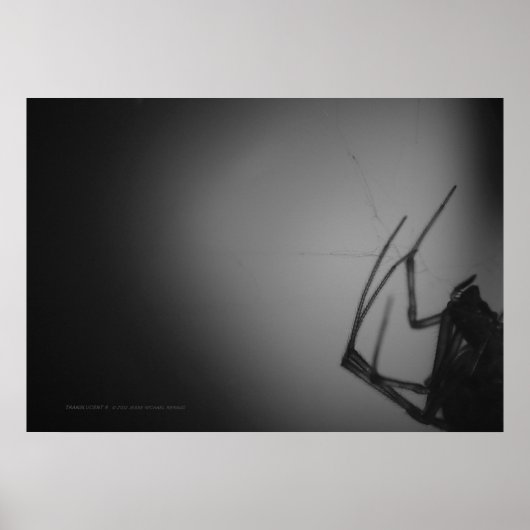 ÜBERSETZUNG 8 POSTER (Vorne)