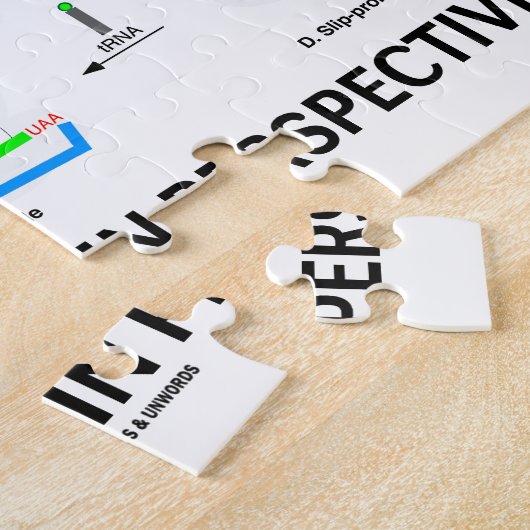 Übersetzung in der Perspektive (tRNA Puzzle (Seite)