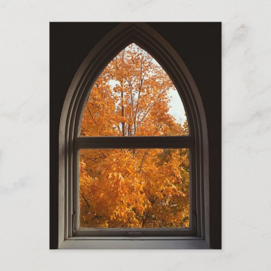 Übersicht der Herbstblätter Postkarte (Vorderseite)