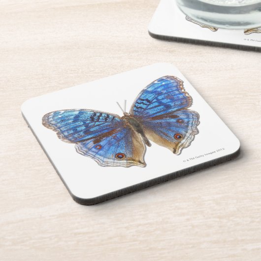 Übersicht rhadama getränkeuntersetzer (Linke Seite)