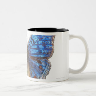 Übersicht rhadama zweifarbige tasse