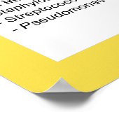 Übersicht über bakterielle Infektionen Poster (Ecke)