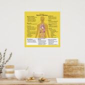 Übersicht über bakterielle Infektionen Poster (Küche)