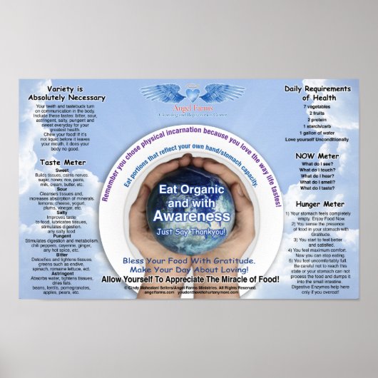 Übersicht über das Ernährungsbewusstsein Poster (Vorne)