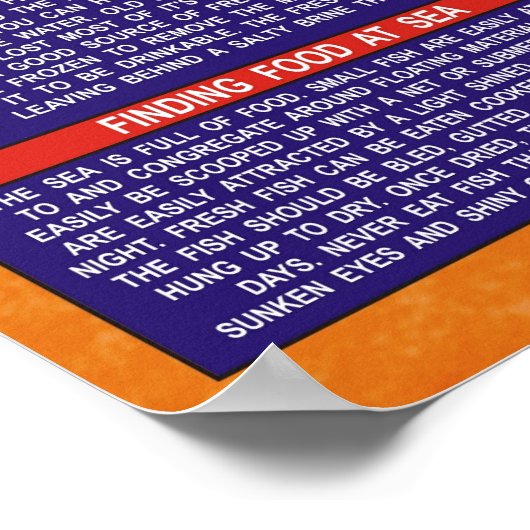 Übersicht über das Überleben im Notfall Poster (Ecke)