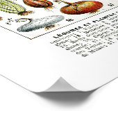 Übersicht über das Vintage Gemüse aus Frankreich Poster (Ecke)