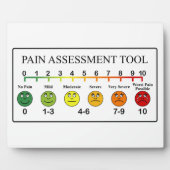 Übersicht über die Beurteilung der Schmerzen Fotoplatte (Vorderseite)