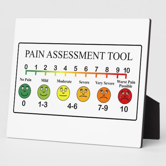 Übersicht über die Beurteilung der Schmerzen Fotoplatte (Seite)