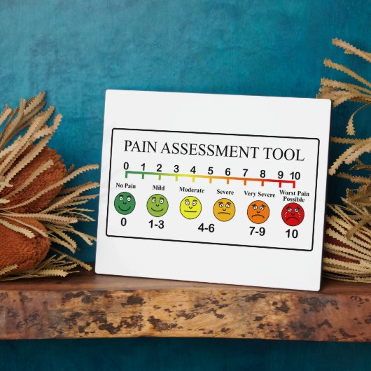Übersicht über die Beurteilung der Schmerzen Fotoplatte (Seite)