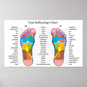 Übersicht über die Fußreflexologie Poster