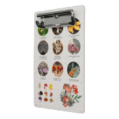 Übersicht über die hilfreichen Mushrooms-Fotos Mini Klemmbrett (Gewinkelt2)