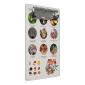 Übersicht über die hilfreichen Mushrooms-Fotos Mini Klemmbrett (Schrägansicht)