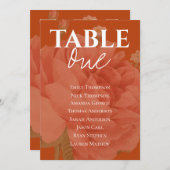 Übersicht über die Hochzeitssitze der Rostterracot (Vorne/Hinten)