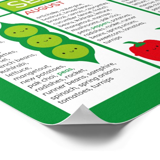 Übersicht über die Jahreszeiten Poster (Ecke)