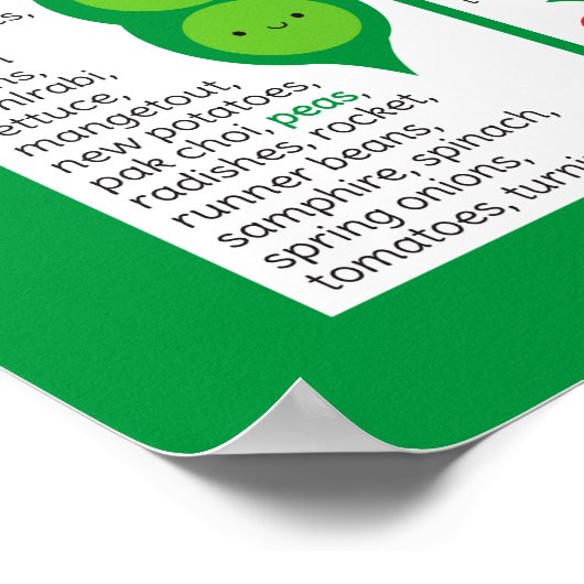 Übersicht über die Jahreszeiten Poster (Ecke)