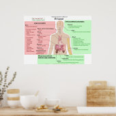 Übersicht über die langfristigen Auswirkungen der  Poster (Küche)