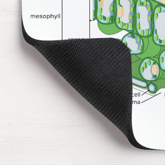 Übersicht über die Pflanze der Gewebestruktur Mousepad (Ecke)