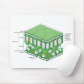 Übersicht über die Pflanze der Gewebestruktur Mousepad (Mit Mouse)
