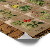 Übersicht über die Pflanze der Heilkräuter 1 24" x Poster (Ecke)