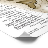 Übersicht über die Punkte der Akupunktur bei der A Poster (Ecke)