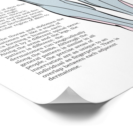 Übersicht über die Punktestände für den Rücken der Poster (Ecke)