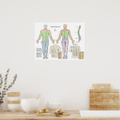 Übersicht über die Punktestände für den Rücken der Poster (Küche)