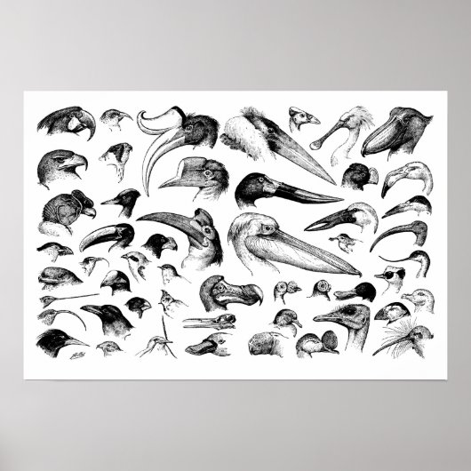 Übersicht über die Rechnungen Poster (Vorne)