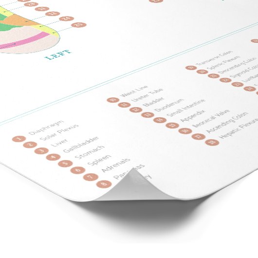 Übersicht über die Reflexologie Poster (Ecke)