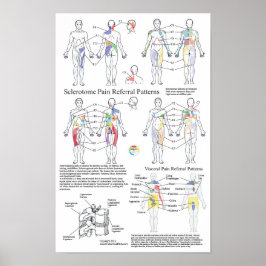 Übersicht über die visuelle Schmerzdarstellung im  Poster