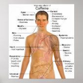 Übersicht über die wichtigsten Nebenwirkungen von Poster (Vorne)