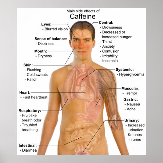 Übersicht über die wichtigsten Nebenwirkungen von Poster (Vorne)