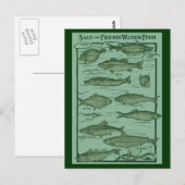 Übersicht über Salz und Süßwasserfische Postkarte (Vorne/Hinten)