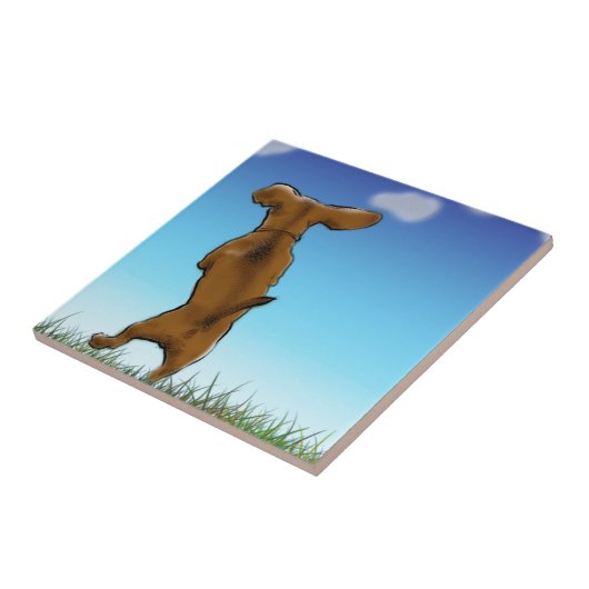 Überspringen der Dackel Fliese (Seite)