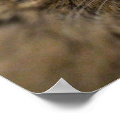 Überspringen von Bob Poster (Ecke)