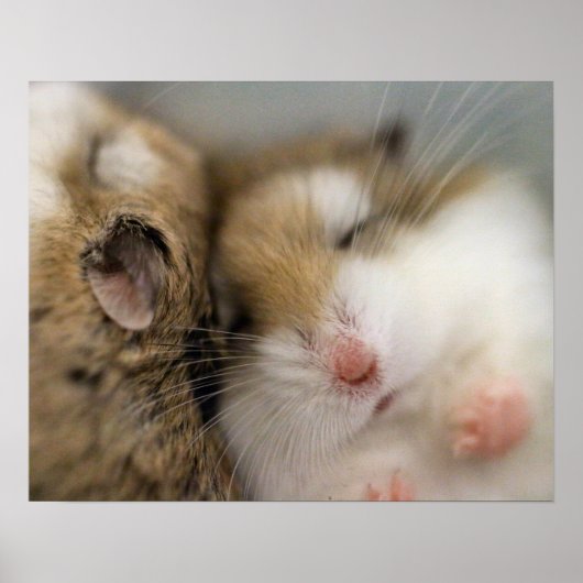 Überspringen von Bob Poster (Vorne)