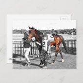 Übertreiber Postkarte (Vorne/Hinten)