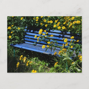 überwachsene blaue Bank Postkarte