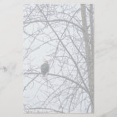 Überwachung (Vorderseite)