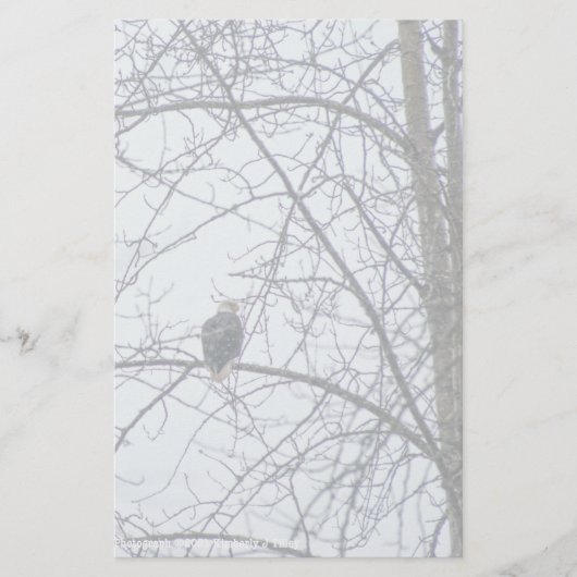 Überwachung (Vorderseite)