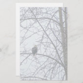 Überwachung (Vorne/Hinten)