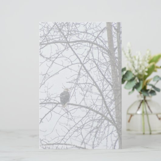 Überwachung (Stehend Vorderseite)